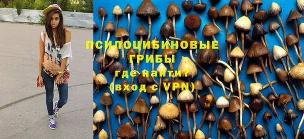 амф Белокуриха