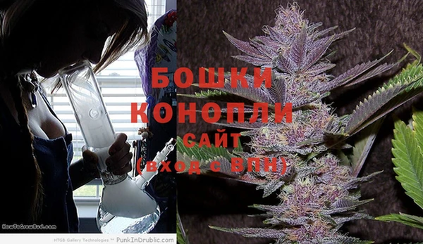 амф Белокуриха