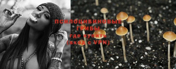 дживик Богородск