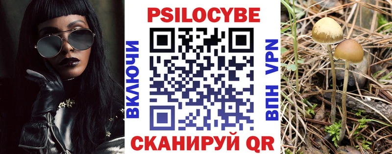 Псилоцибиновые грибы Psilocybe  купить закладку  Городовиковск 